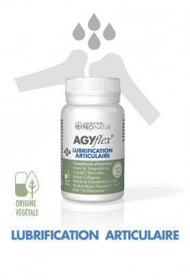 AGYflex® LUBRIFICATION ARTICULAIRE