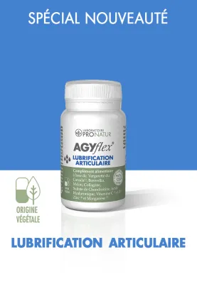 1 AGYflex® LUBRIFICAZIONE DELLE GIUNTE GRATUITA del valore di € 22