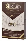 3+1 Silicio organico naturale e GRATUITO in bustine giornaliere - Dynasil®