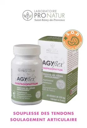 Lot de 2 AGYflex® HARPAGOPHYTUM