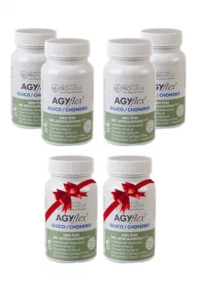 4+2 OFFERTS - Santé du Cartilage des Articulations - AGYflex® GLUCO/CHONDRO