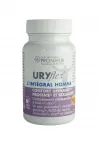 Nahrungsergänzungsmittel für die Prostata und die Erektion - URYflex® L'INTEGRAL HOMME