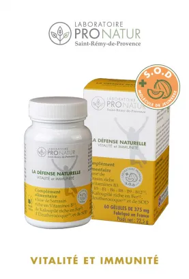 4+2 OFFERTS - Bouclier Immunitaire et Vitalité - VYTAflex® LA DÉFENSE NATURELLE