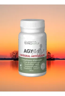 Soulager, Lubrifier et Régénérer les Articulations - AGYflex® L'INTEGRAL ARTICULAIRE