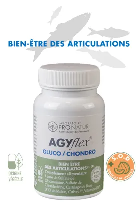 3+1 OFFERT - Santé du Cartilage des Articulations - AGyflex GLUCO/CHONDRO