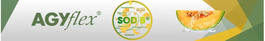 Nahrungsergänzungsmittel für die Knochengesundheit von Senioren