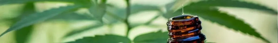 HEKKA CBD zum besten Preis mit dem Laboratorium PRONATUR - Die Kombination von CBD und Bio-Hanföl für die Pflege von Haaren, Gesicht und Körper. Natürlich, vegan, 100% Made in France - CBD für natürliches Wohlbefinden