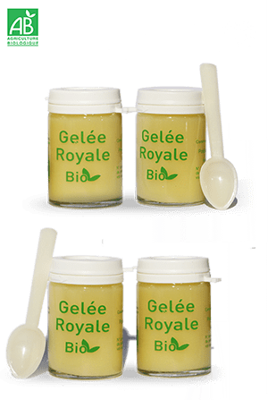 Gelée Royale Bio Pure, Pot de 25 g, Immunité